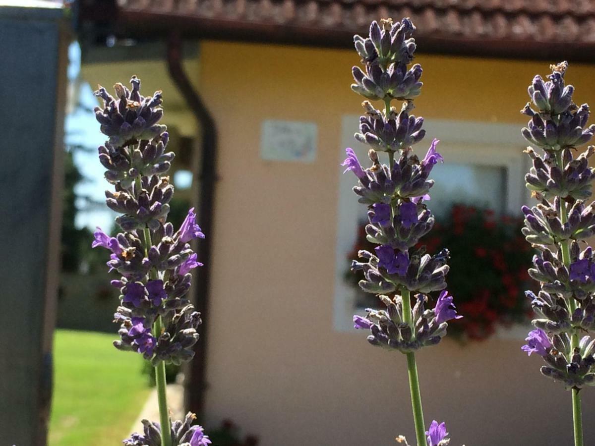 Liliána apartman Balatonberény Exterior foto